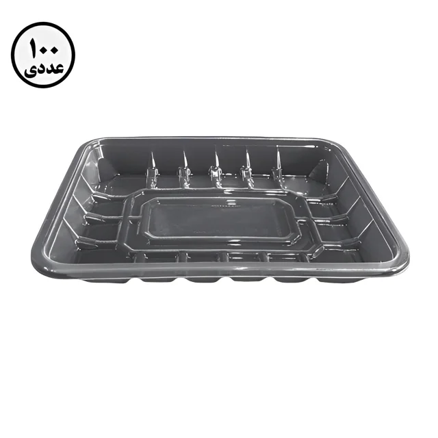 دیس مهرپارسا شفاف کد 304 ( 100 عددی )